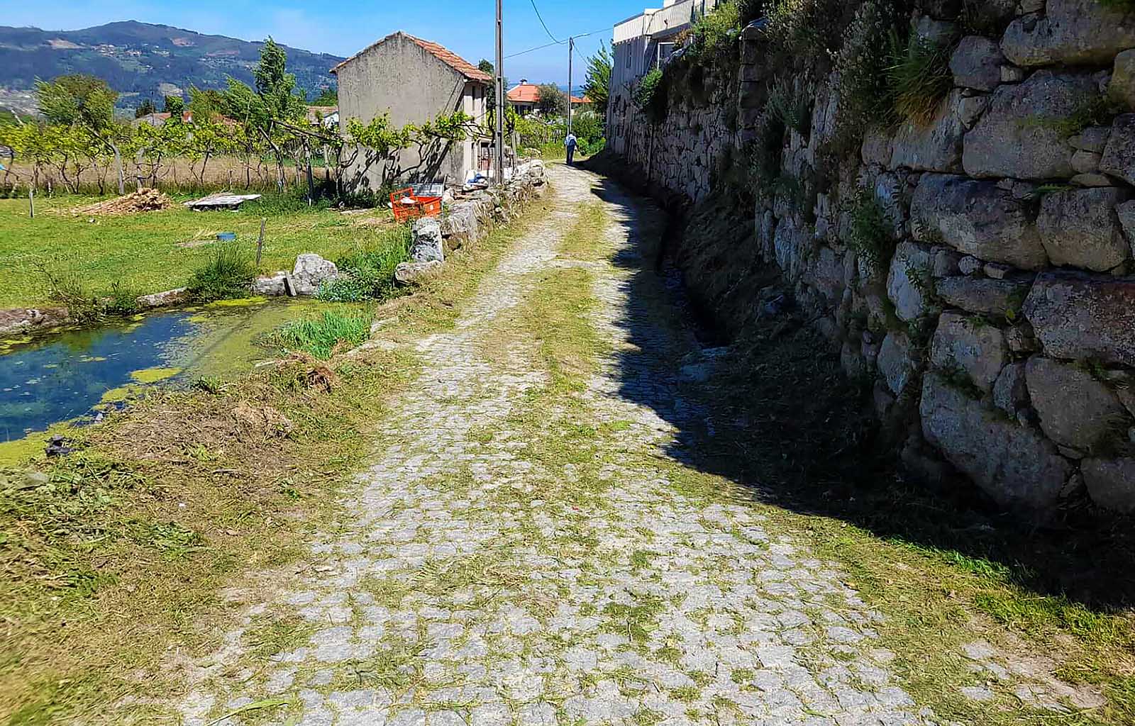 Limpeza de caminhos no lugar de Arrabalde-Bouças